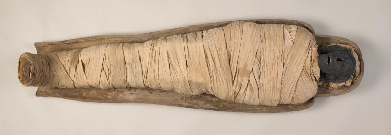 Photograph of Pedeamun, Credit to the Liverpool Museum